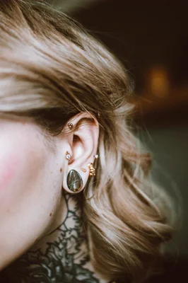 Curated Ear Ensemble